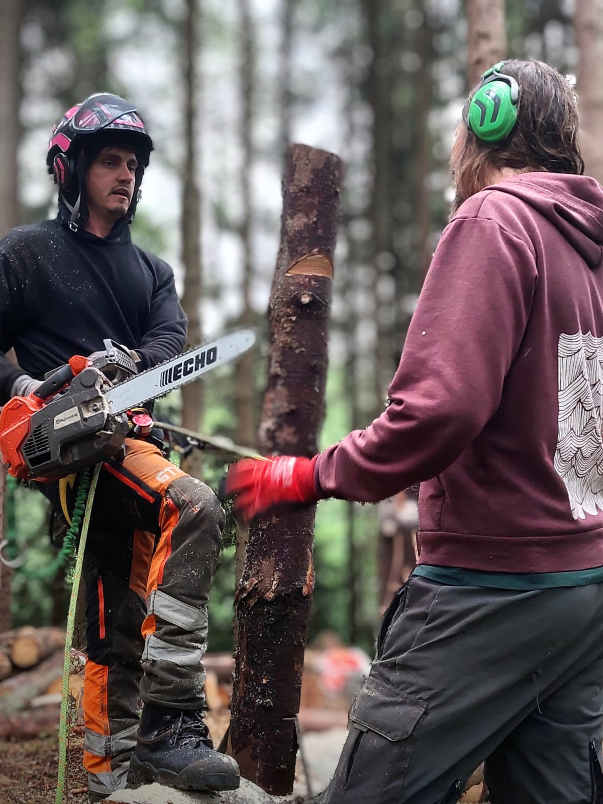 motorsag til ved, hage og skogsarbeid