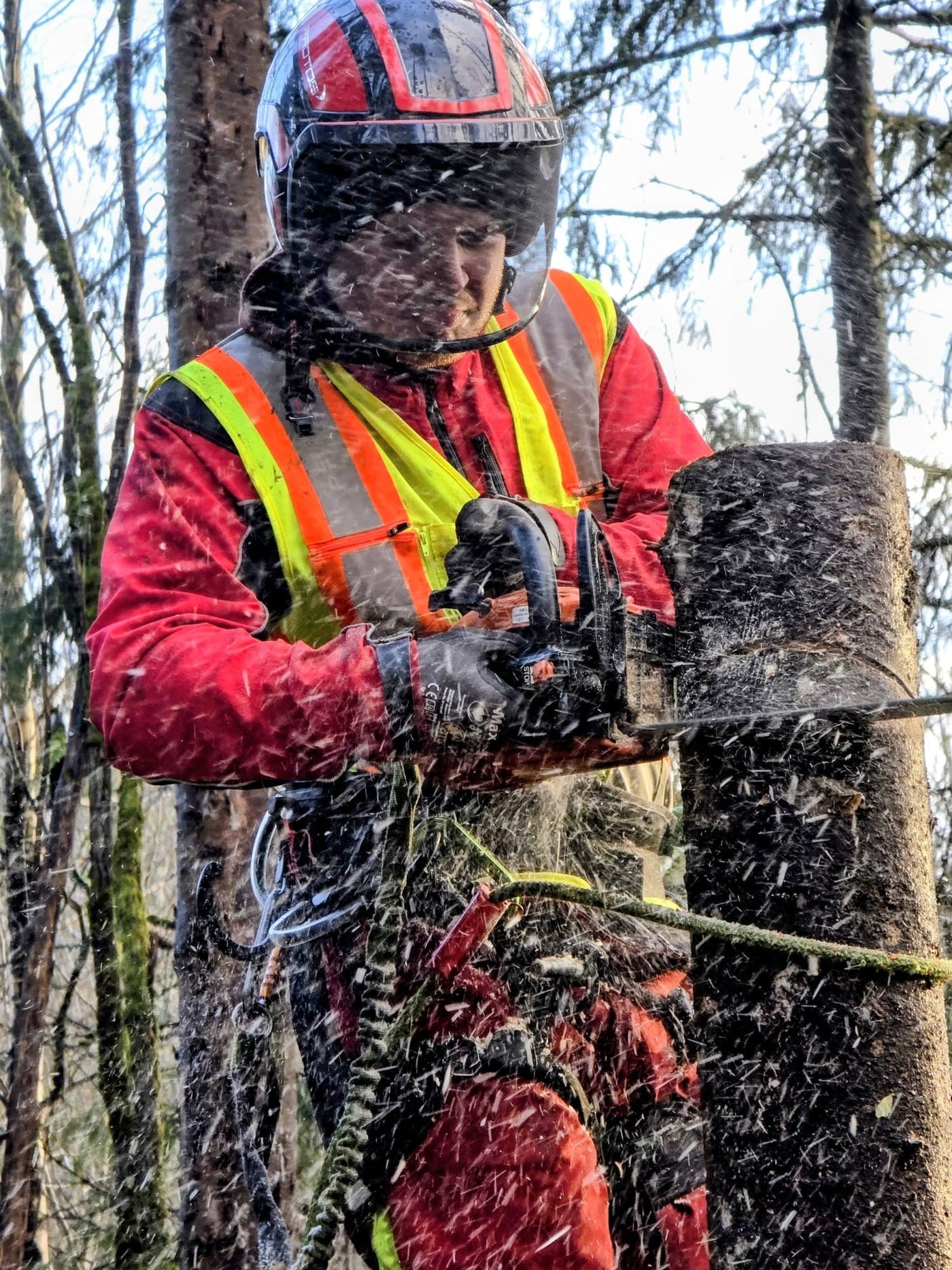 verneutstyr for motorsagbruk