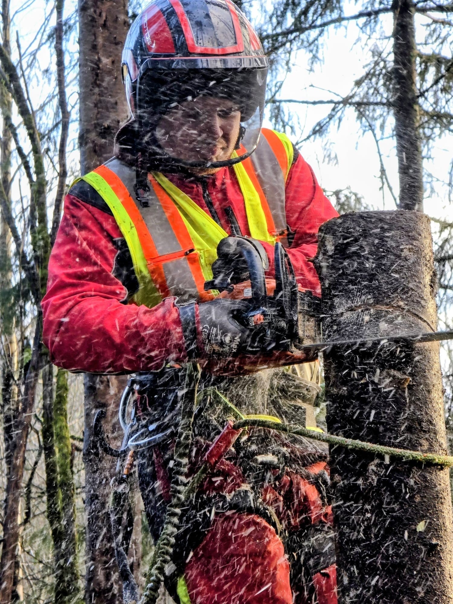 verneutstyr for motorsagbruk