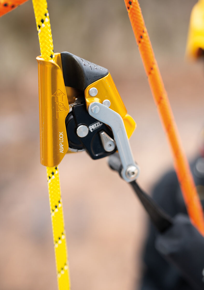 Petzl ASAP® LOCK