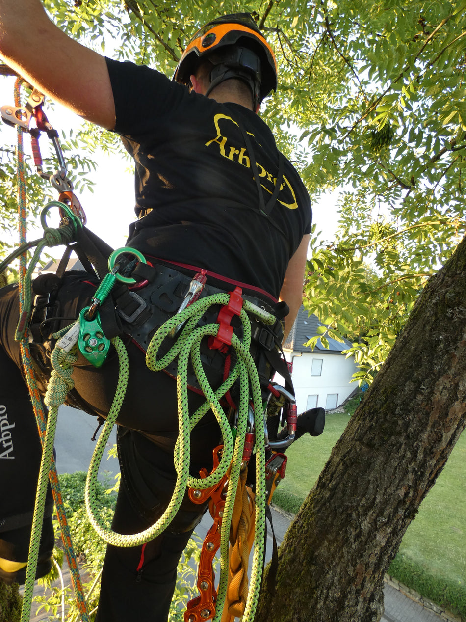 Arbpro Buddy Lanyard Manager