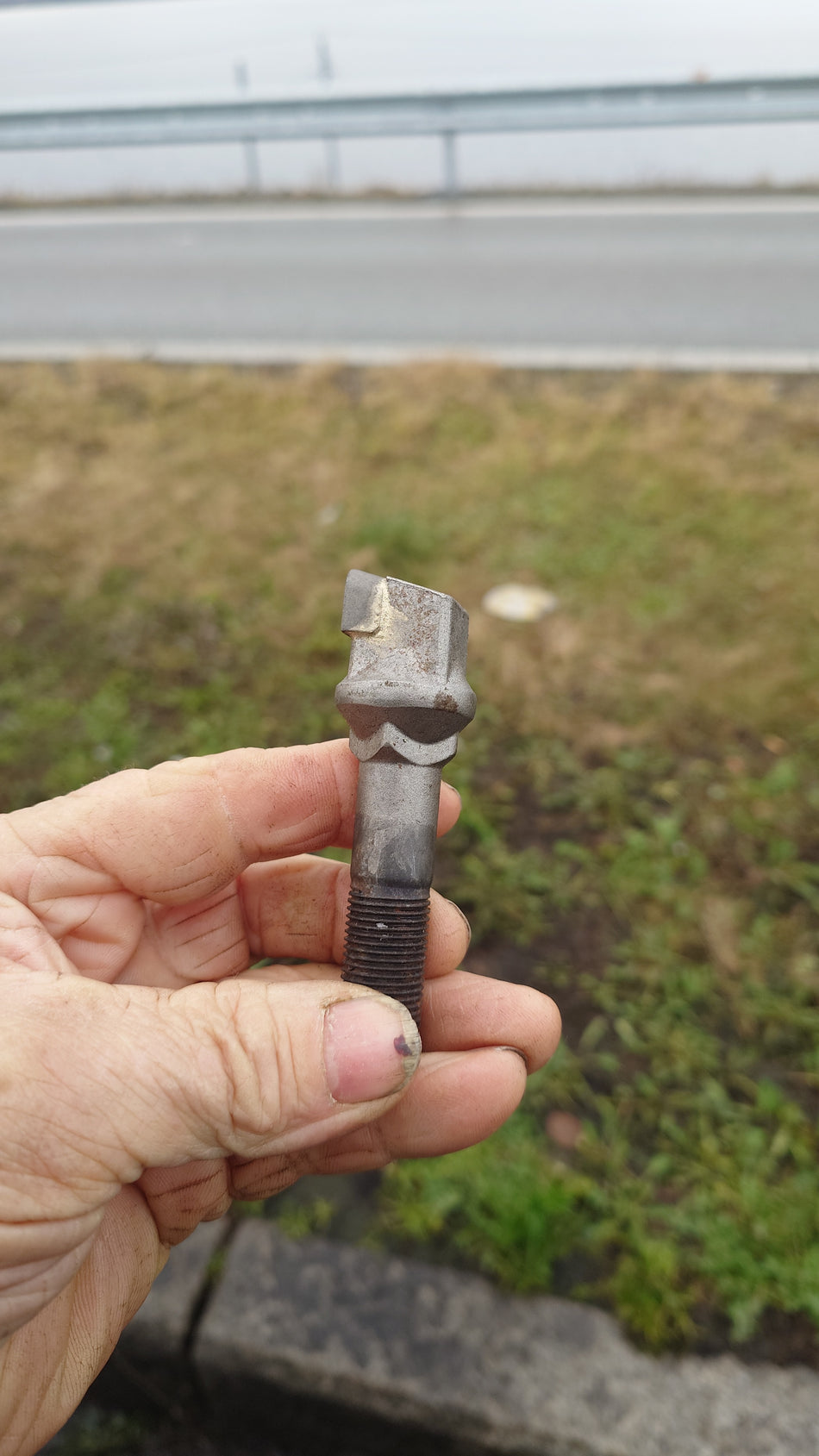 Tann, lang - Carlton Racorcut