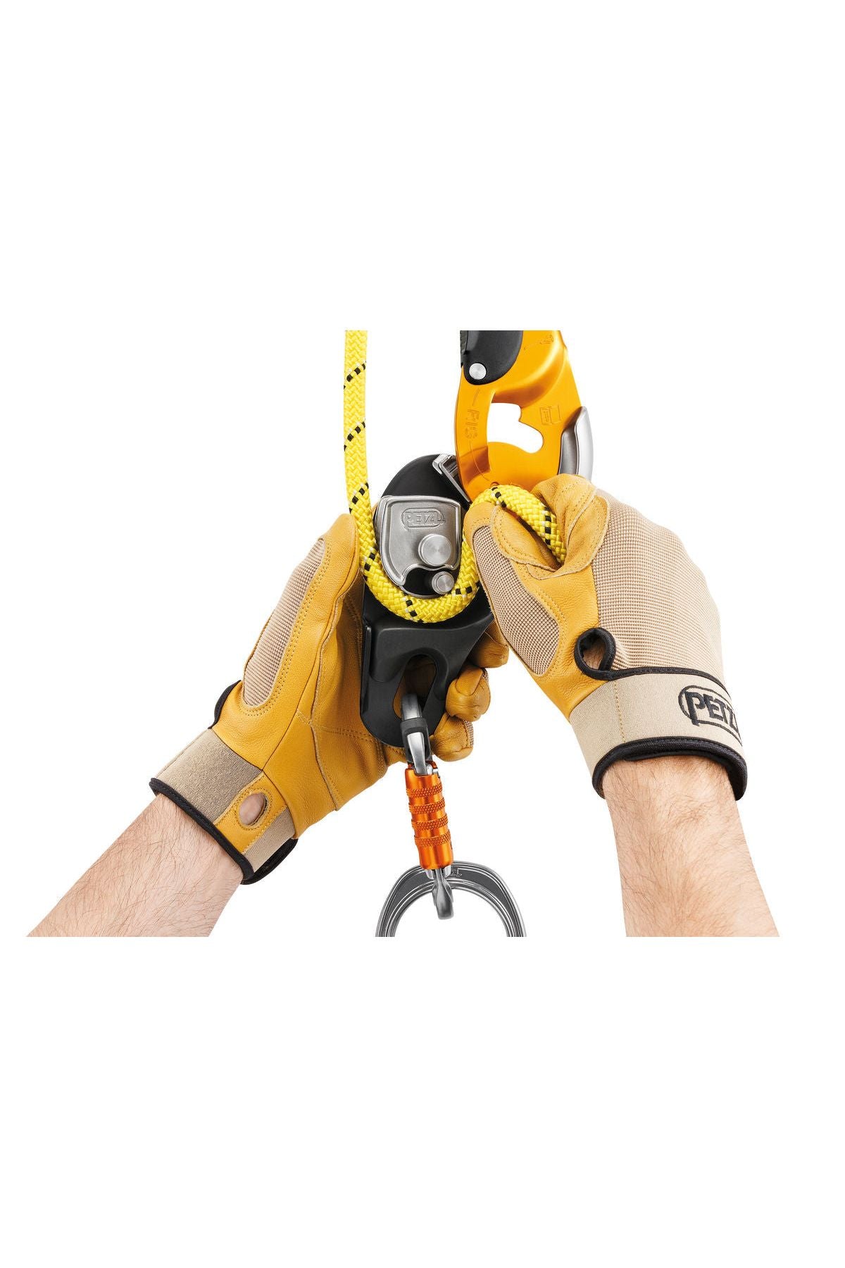 Petzl Rig Open Petzl RIG® – Anton's Timber